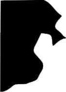 rhode island icon