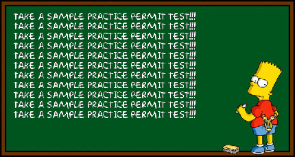 Take a sample permit test the night before the real DMV test!