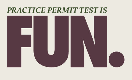 This Practice Permit Test Is Fun!